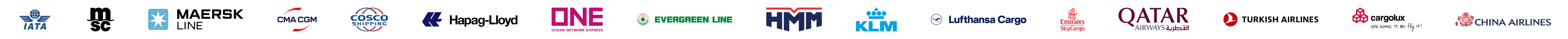 IATA accredited agent, MSC, Maersk, CMA CGM, COSCO, Hapag-Lloyd, ONE, Evergreen, HMM, KLM, Lufthansa Cargo, Emirates SkyCargo, Qatar Airways, Turkish Cargo, Cargolux and China Airlines