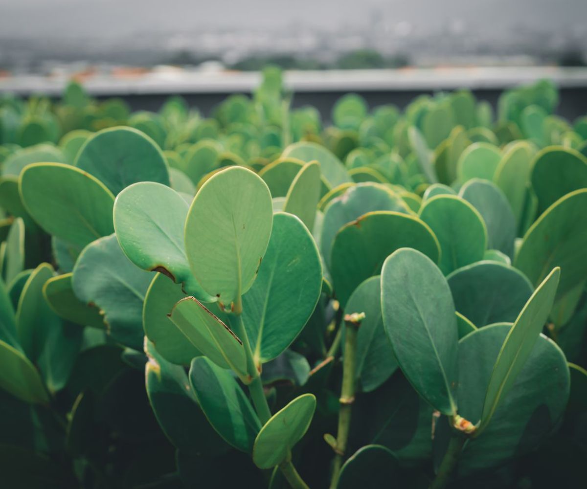 CO2 emission reporting